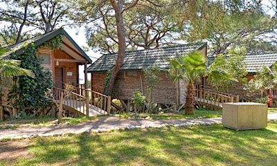 Pine House